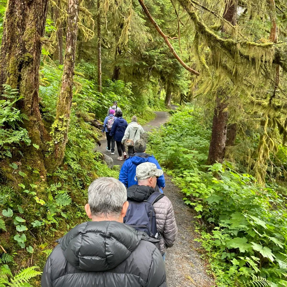 a man riding a bike down a dirt path in a forest