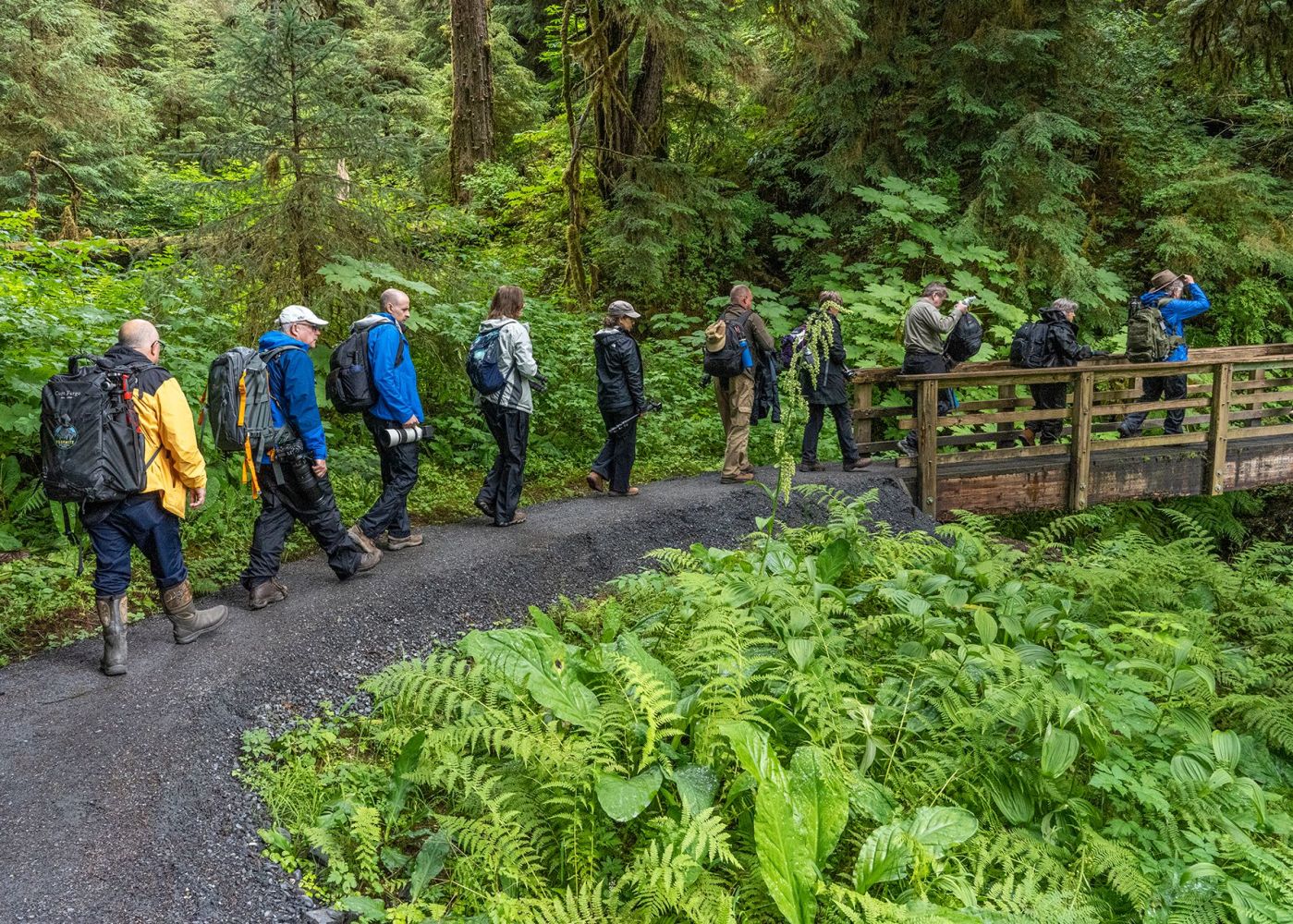 a group of people in a forest