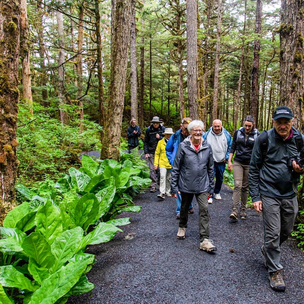 a group of people in a forest