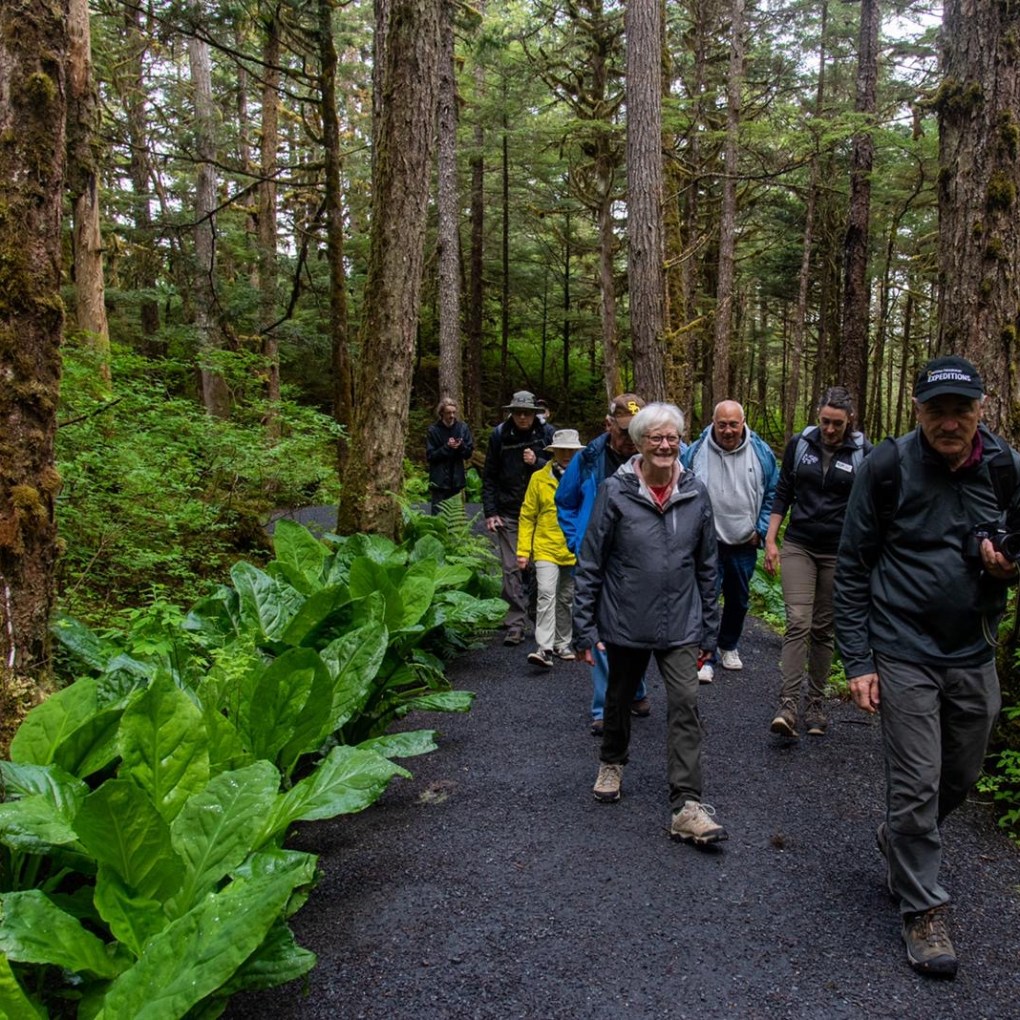 a group of people in a forest